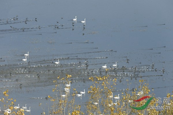 _E8J1530.jpg