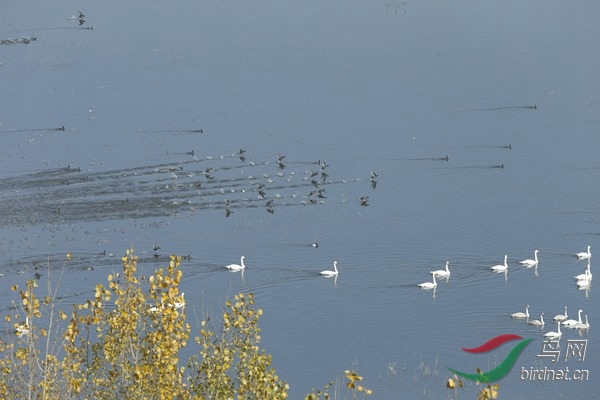 _E8J1548.jpg