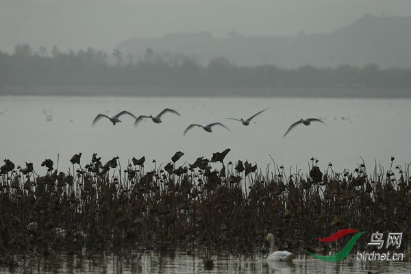 _E8J1852.jpg