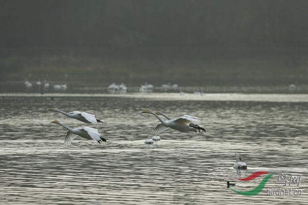 _E8J1900.jpg