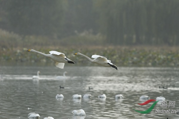 _E8J2004.jpg