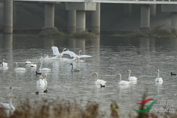 _E8J2039.jpg