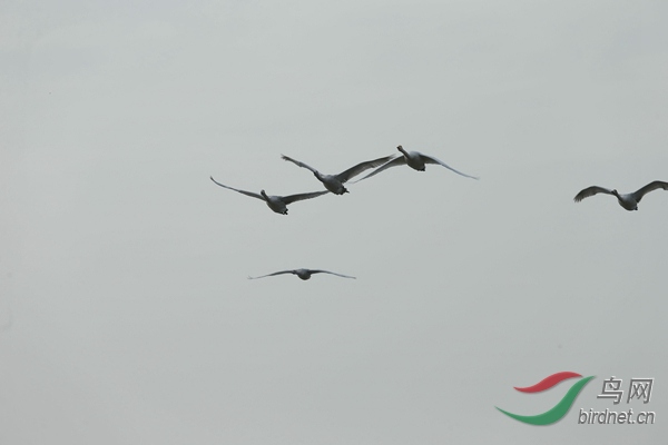 _E8J1764.jpg