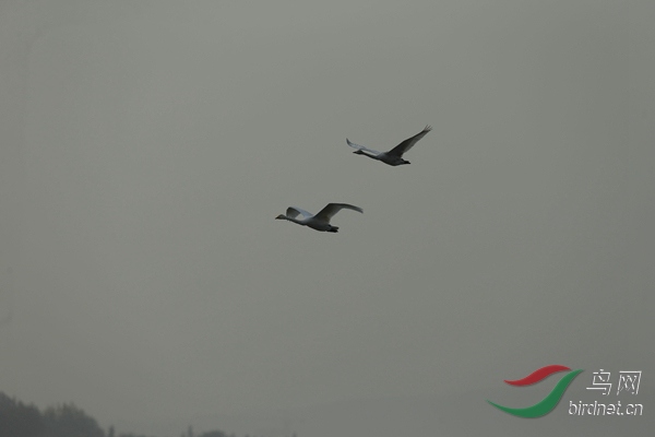 _E8J1933.jpg