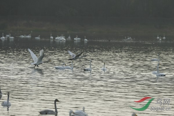 _E8J1728.jpg