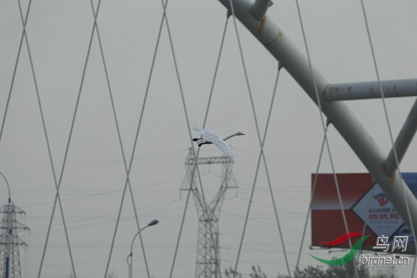 _E8J1774.jpg