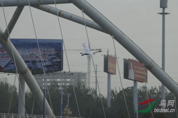 _E8J1777.jpg