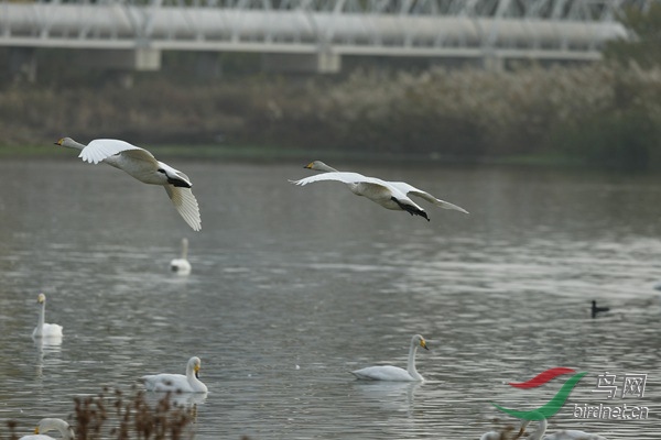 _E8J2008.jpg