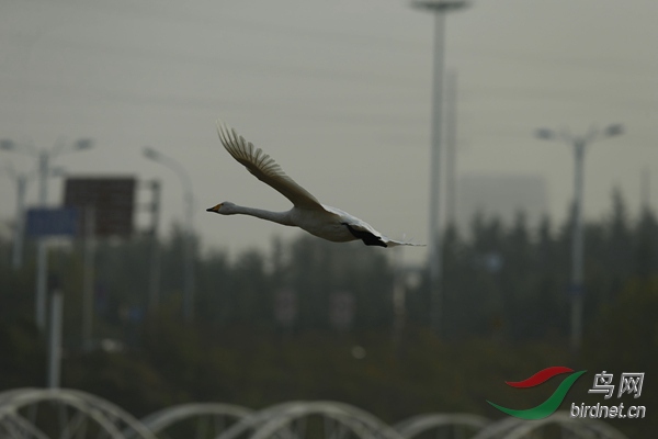 _E8J2354.jpg
