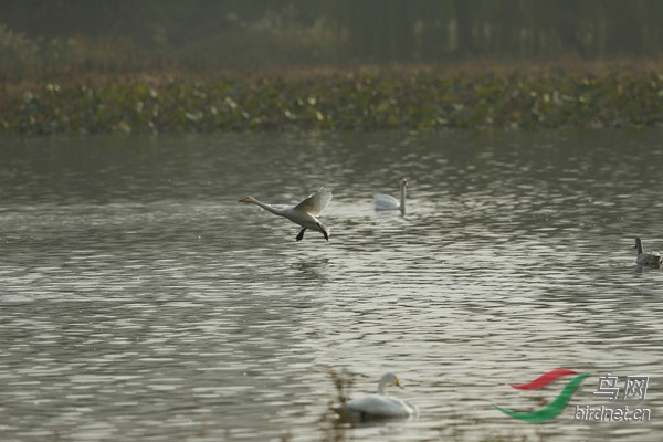 _E8J2444.jpg