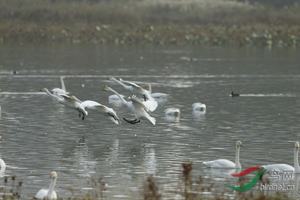 _E8J1920.jpg