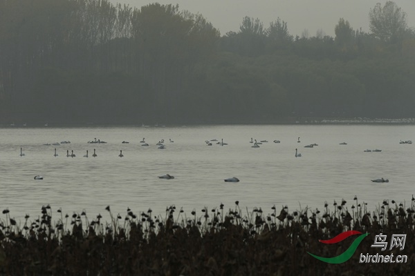 _E8J1837.jpg