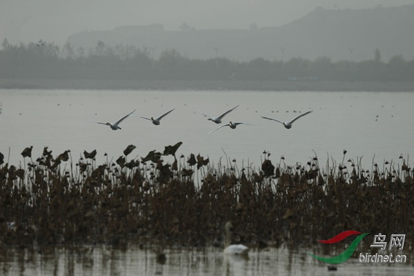 _E8J1850.jpg