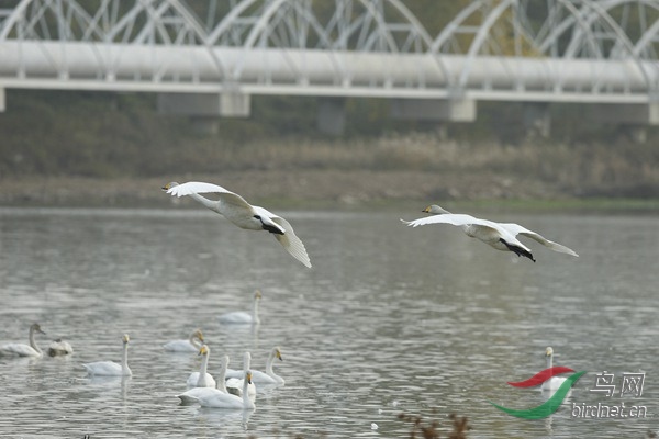 _E8J2011.jpg