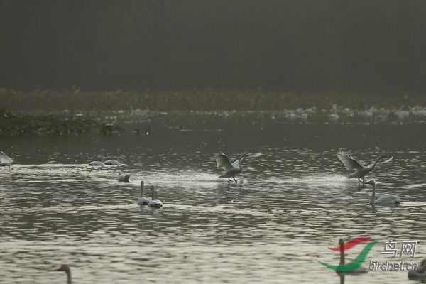 _E8J2332.jpg