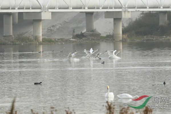 _E8J3130.jpg
