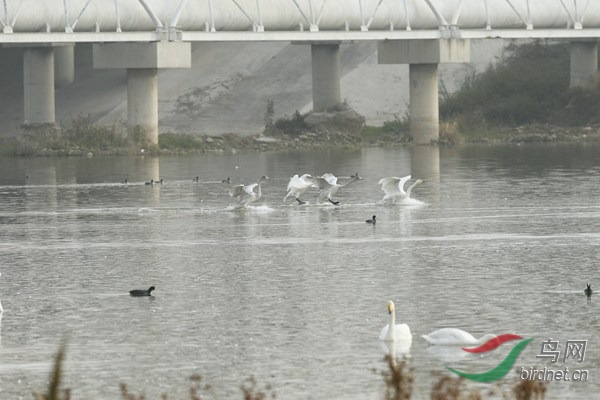 _E8J3129.jpg