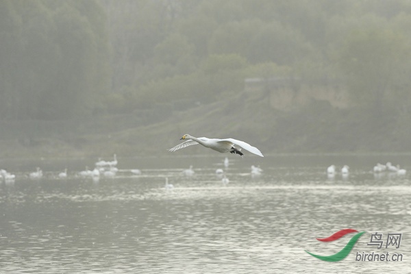 _E8J3142.jpg