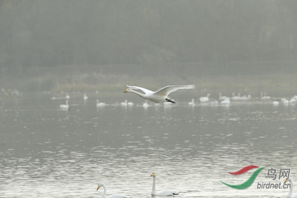 _E8J3144.jpg
