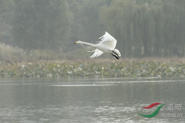 _E8J3155.jpg