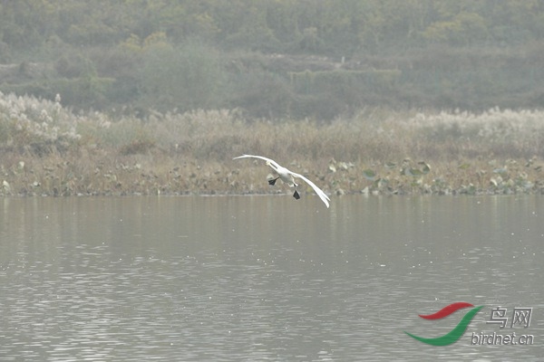 _E8J3164.jpg
