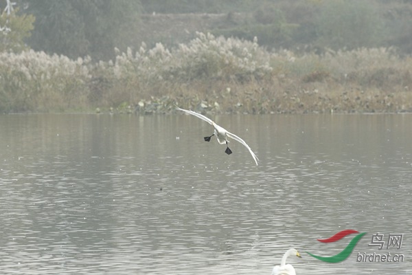 _E8J3170.jpg