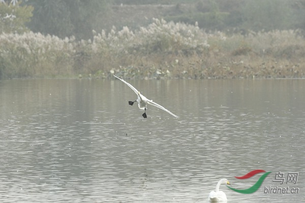 _E8J3173.jpg