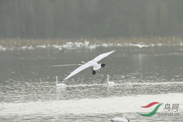 _E8J3201.jpg