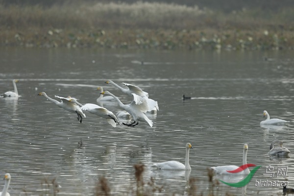 _E8J1919.jpg