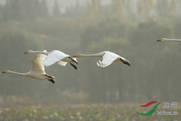_E8J2570.jpg