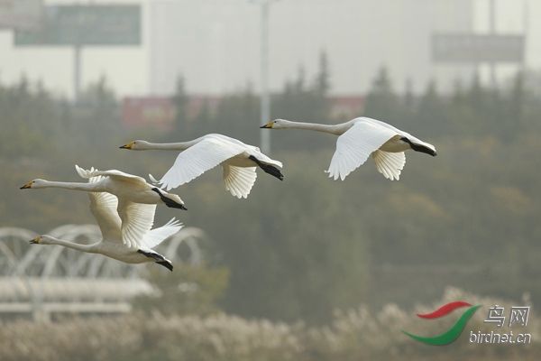 _E8J2580.jpg