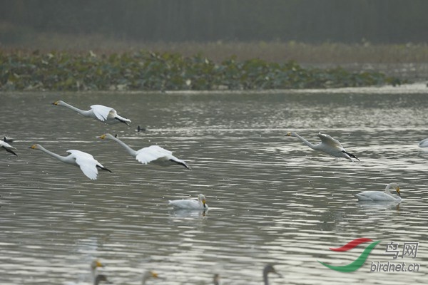 _E8J1910.jpg