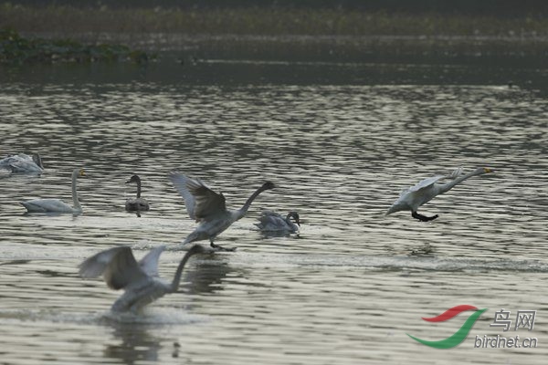 _E8J1826.jpg