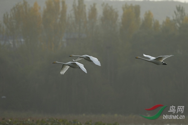 _E8J2156.jpg