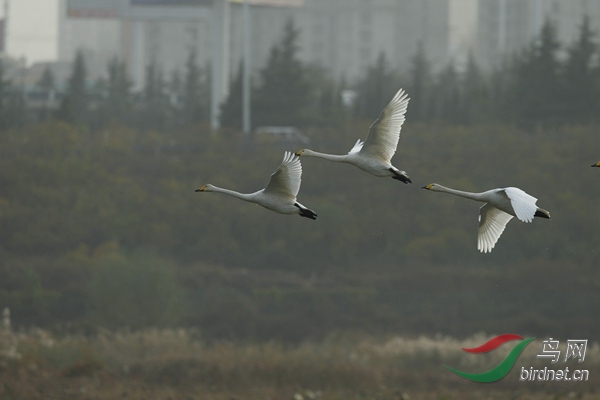 _E8J2169.jpg