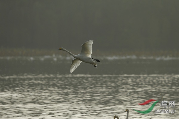 _E8J2284.jpg