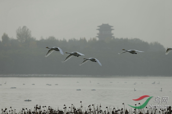 _E8J1867.jpg