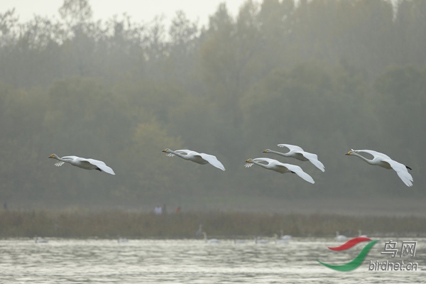 _E8J1885.jpg