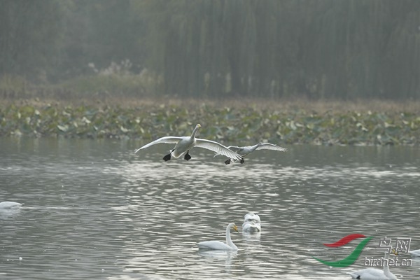 _E8J1789.jpg