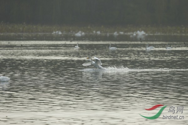 _E8J2057.jpg
