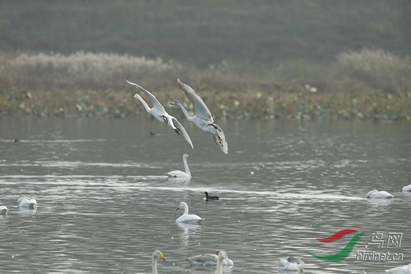 _E8J1952.jpg