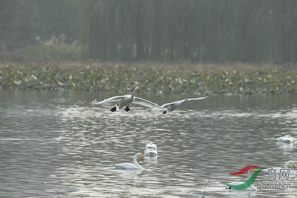 _E8J1791.jpg