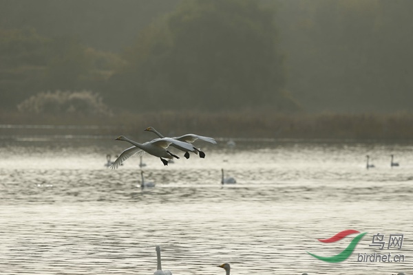 _E8J2243.jpg