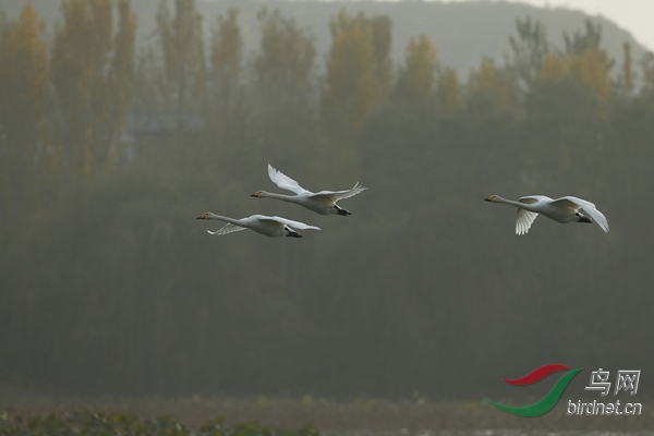 _E8J2155.jpg