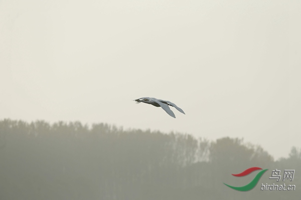 _E8J2225.jpg