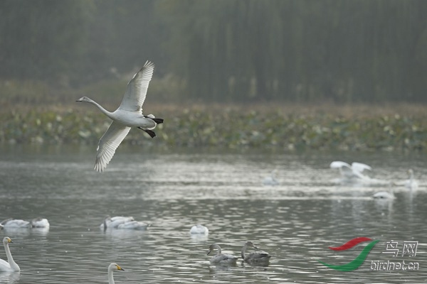 _E8J2078.jpg