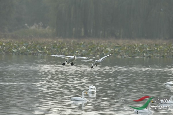 _E8J1790.jpg