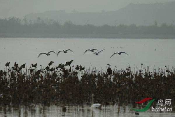 _E8J1849.jpg