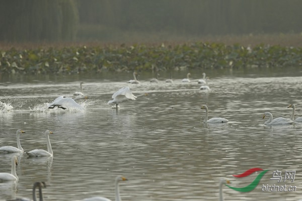 _E8J2726.jpg