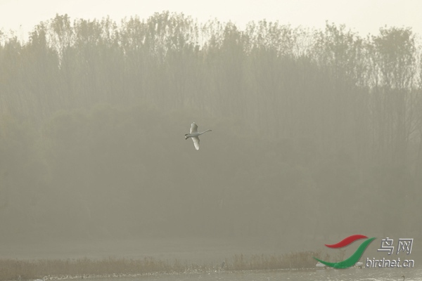 _E8J2760.jpg